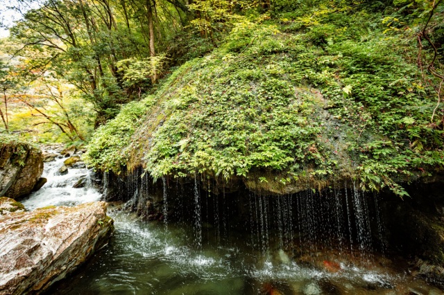 神庭の滝
