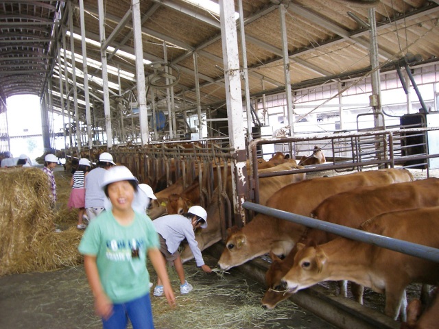 中国四国酪農大学校