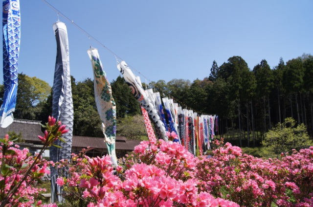 鎌坂峠つつじ園