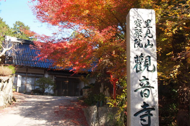 観音寺(もみじ寺)