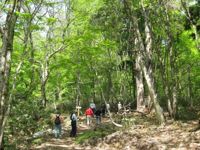 新庄村森林セラピー「ゆりかごの小径」