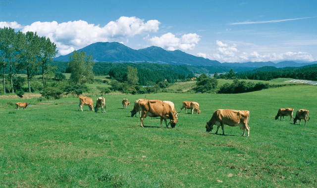 真庭新庄やまなみルート