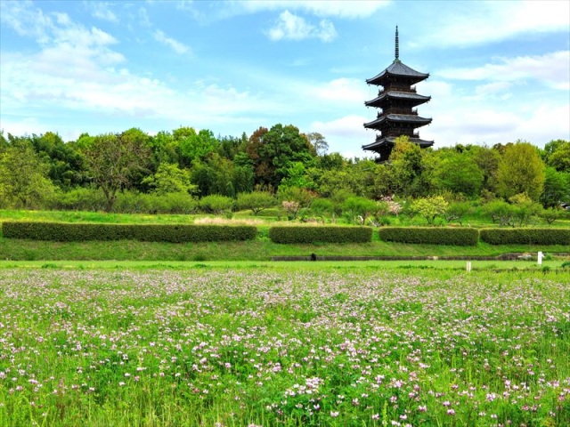 吉備路ボランティア観光ガイド協会