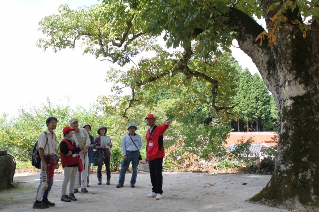 中世式内八社ボランティアガイド