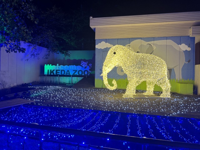 池田動物園 光のナイトズー2025