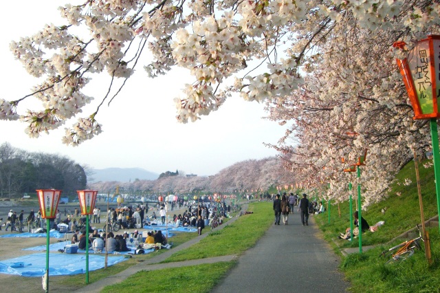 2025岡山さくらカーニバル