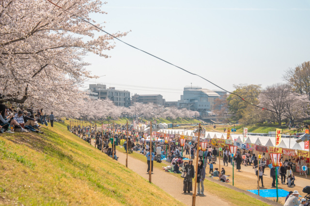 2026岡山さくらカーニバル