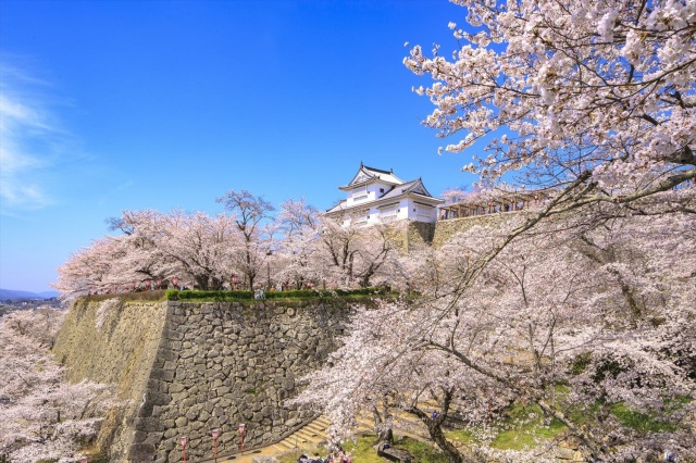 津山城(鶴山公園)