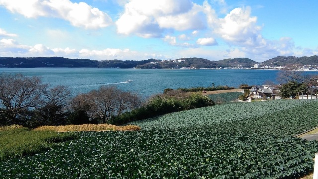 前島(島内各所)