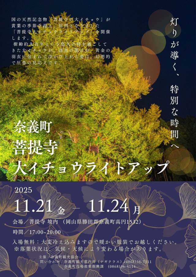 【2025年】菩提寺大イチョウライトアップ