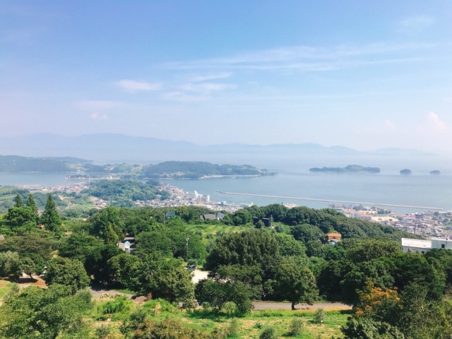 【2026年】牛窓オリーブ園 オリーブの花散歩ポイントラリー