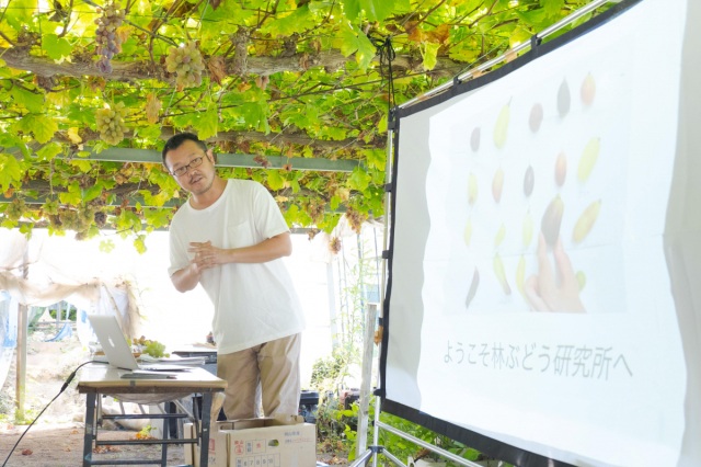 【要予約】知ればもっと好きになる!100種類以上のぶどうを育てる所長 林慎悟がご案内するぶどう食べ比べツアー