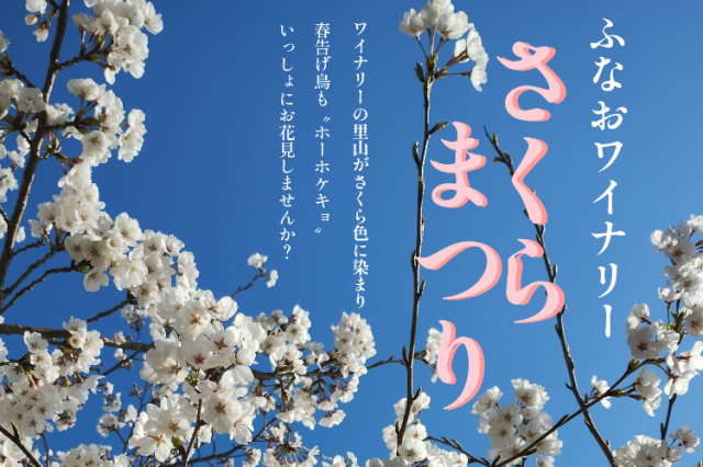 【2026年】ふなおワイナリー さくらまつり