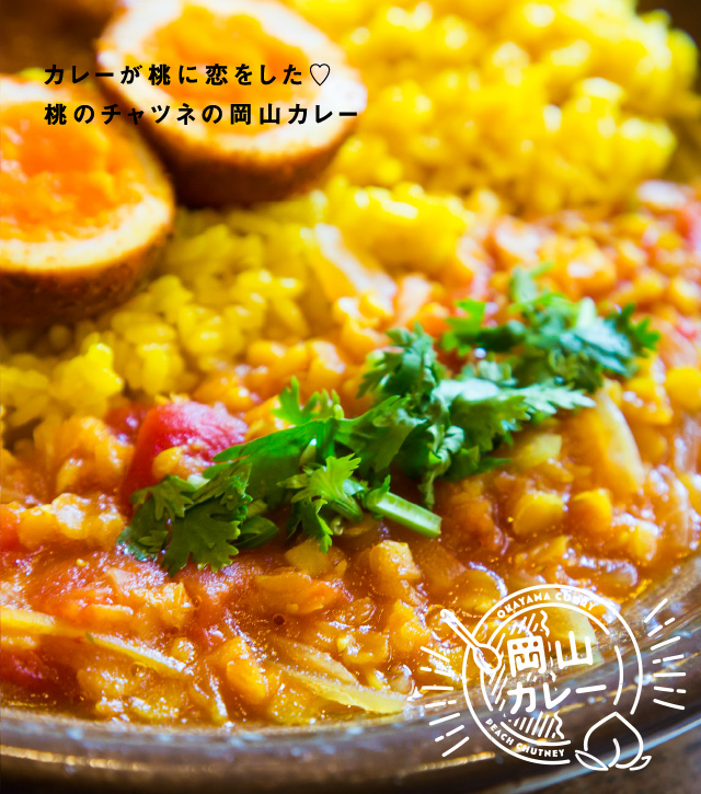 岡山カレー Okayama Curry