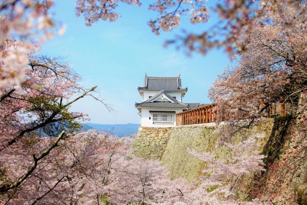 津山城（鶴山公園）