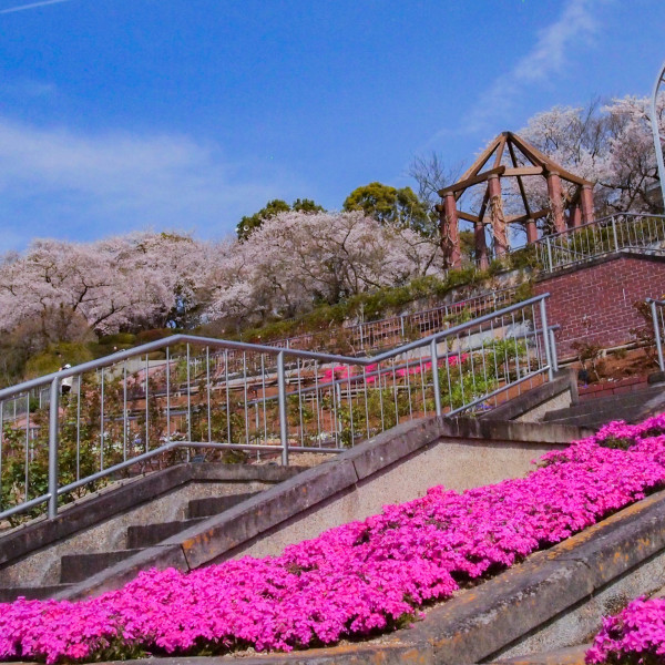 岡山市半田山植物園