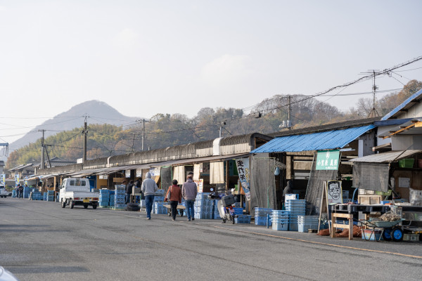 寄島牡蠣直売所